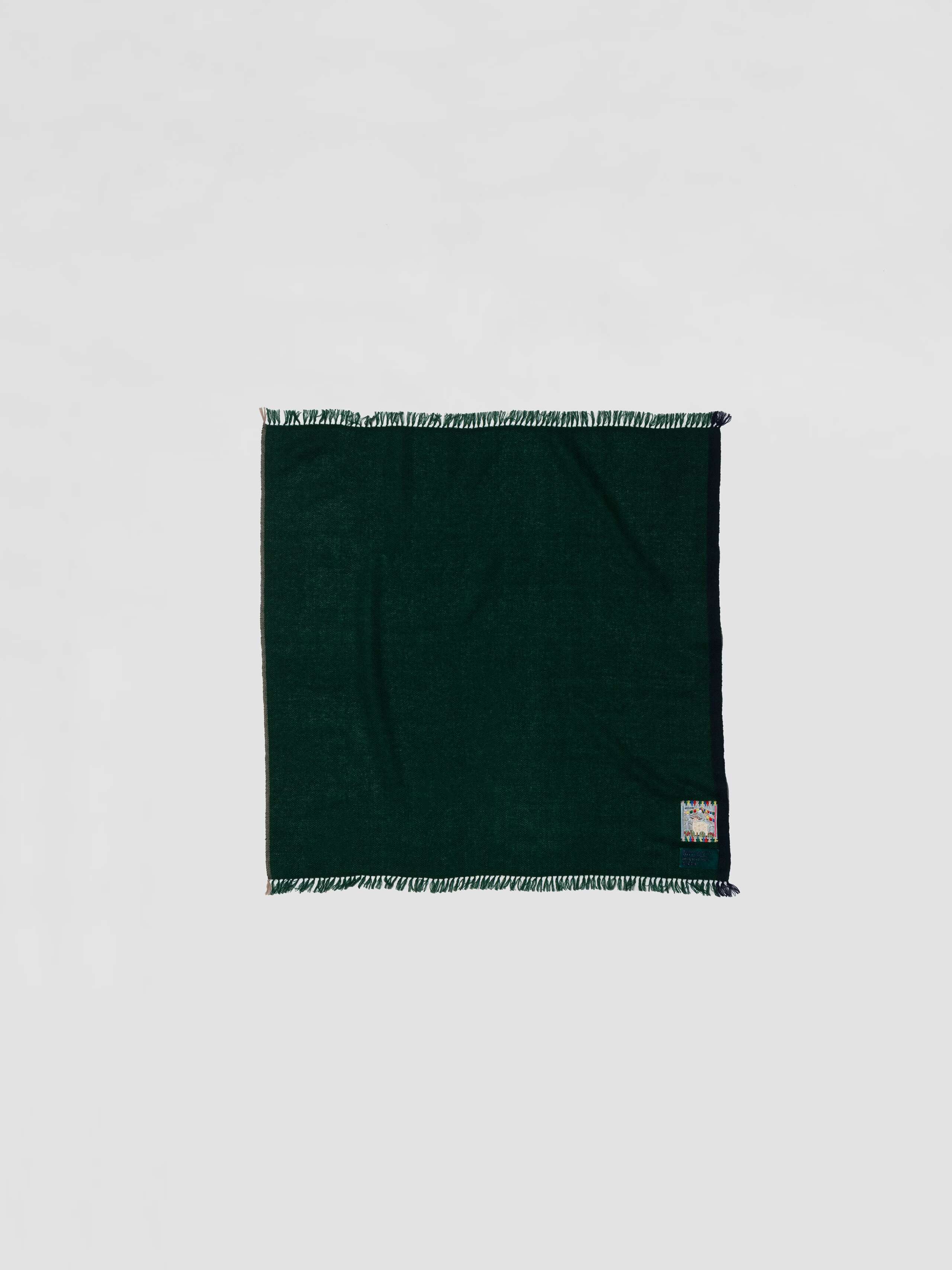 Picture of a small green cashmere scarf 