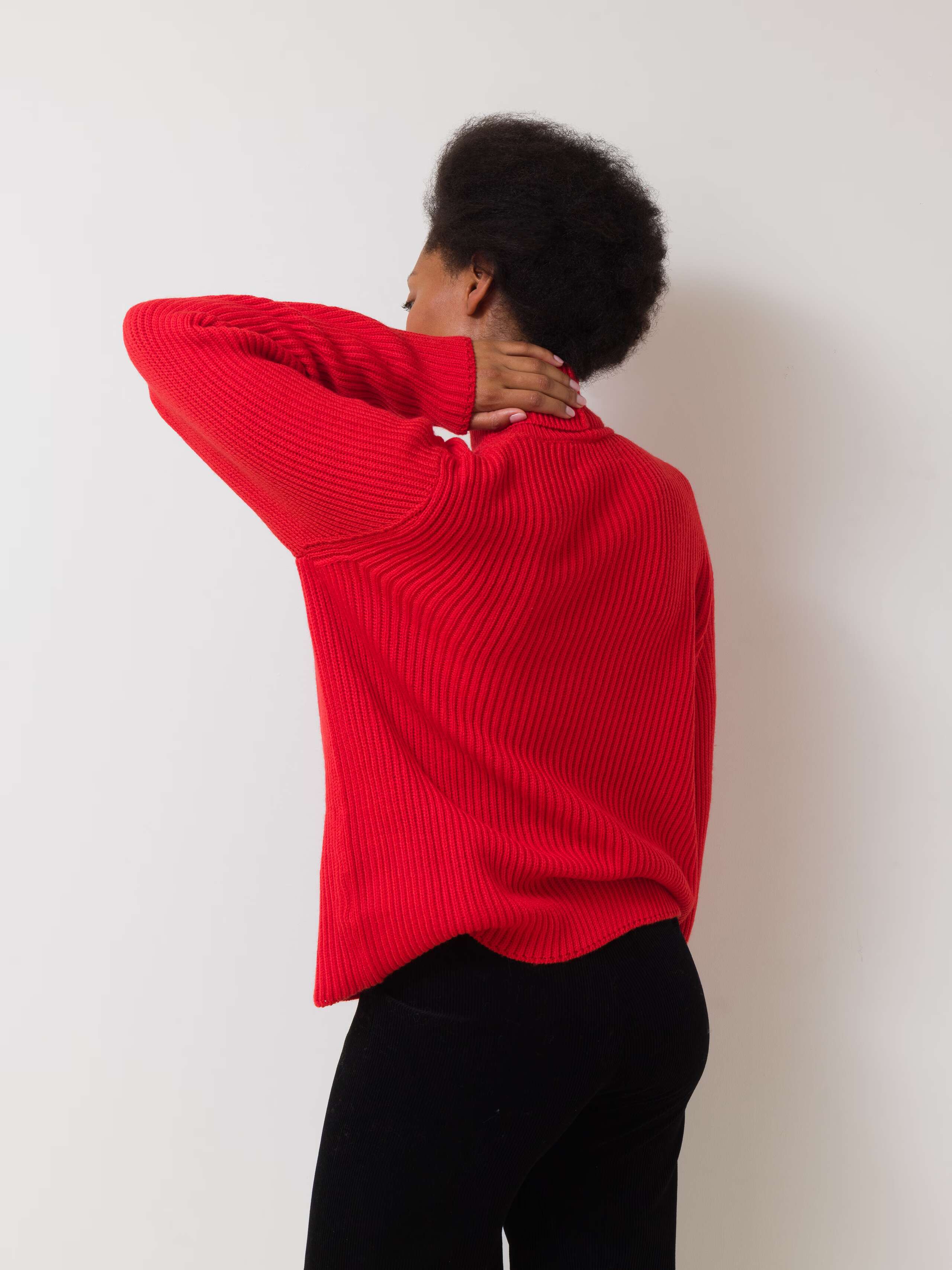 Eira wool turtleneck wool sweater