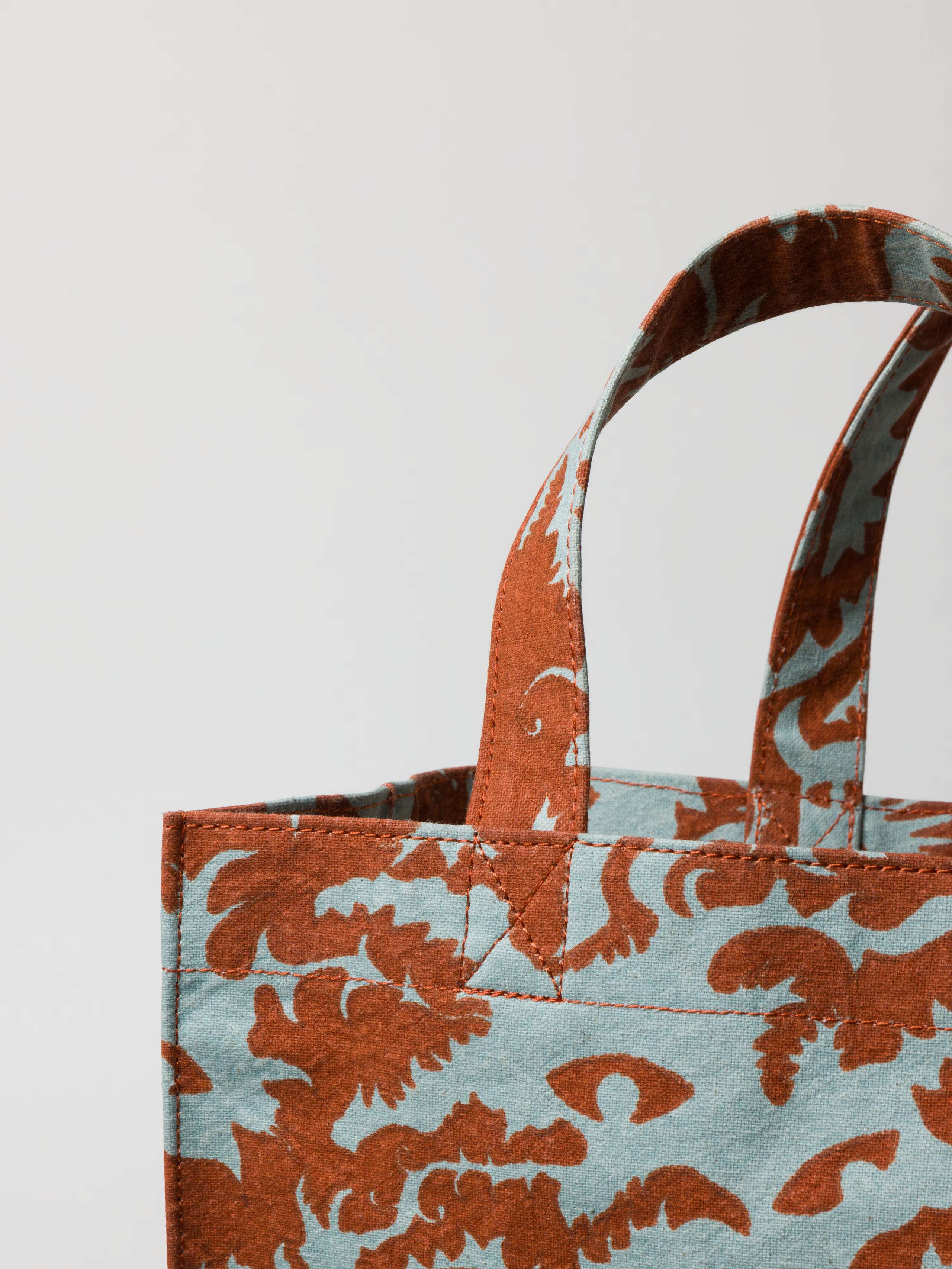 Monster printed cotton canvas Cabas shopper bag in brown and mint 