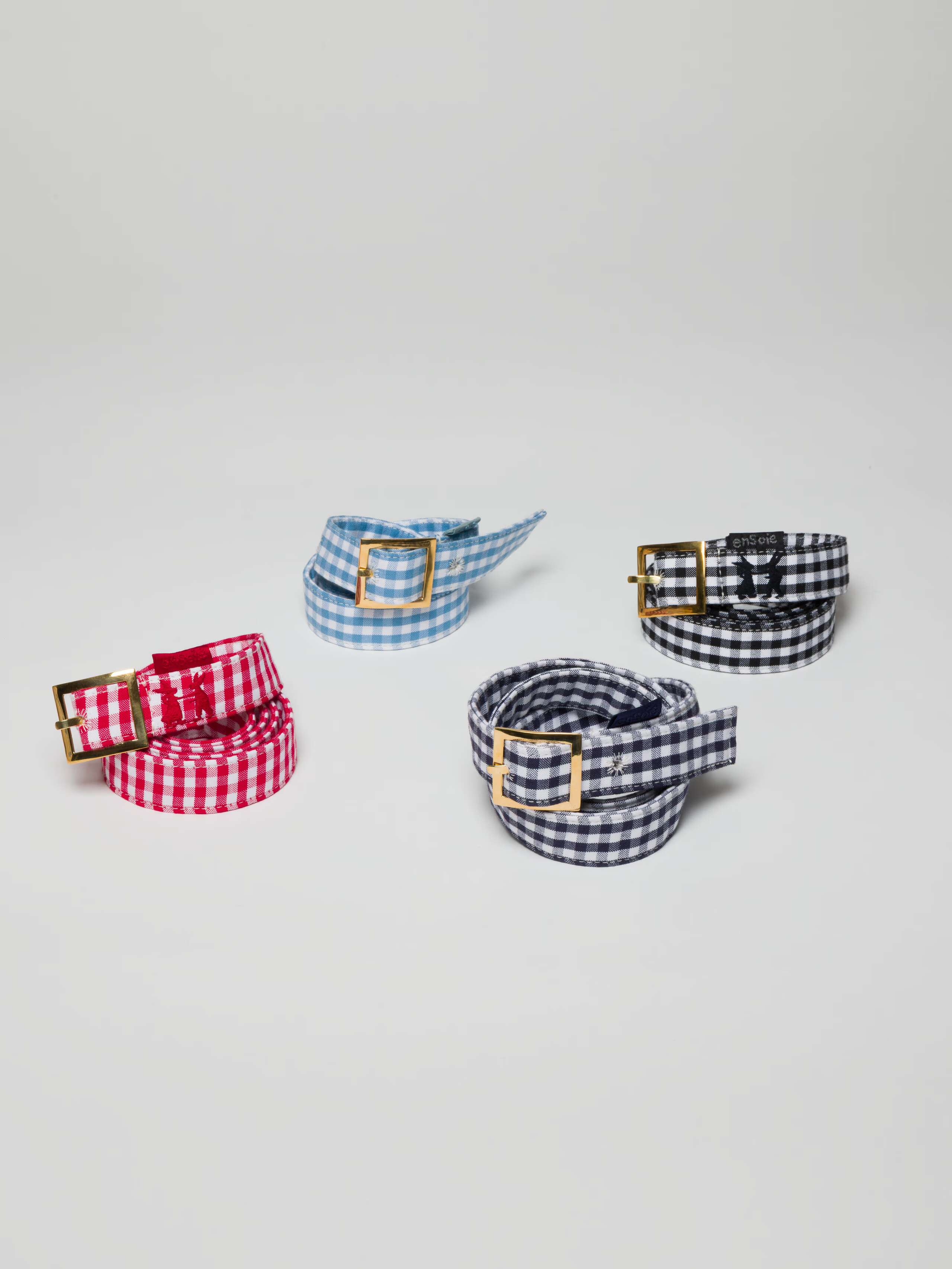 Belt in vichy four colour variations