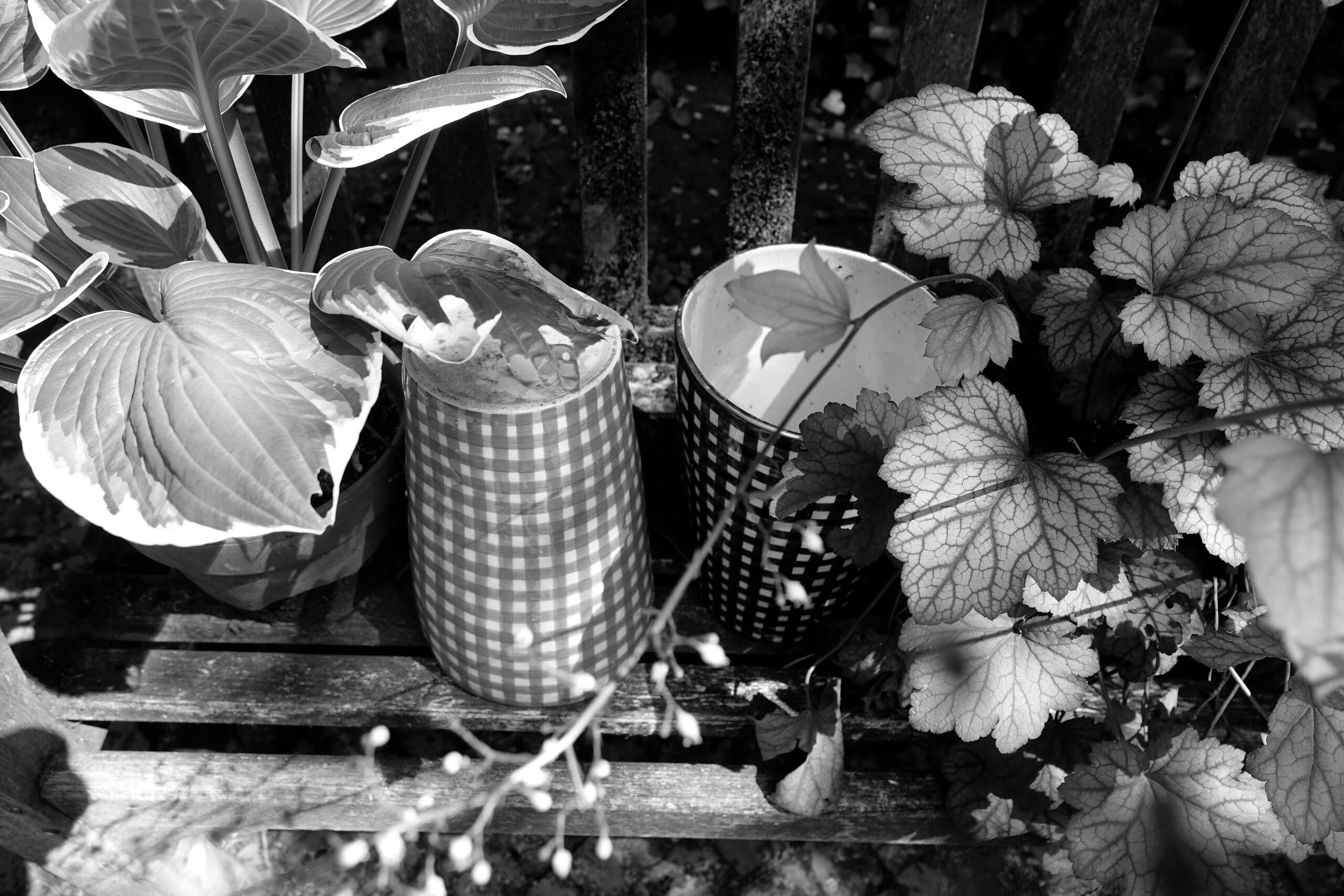 enSoie vichy ceramics