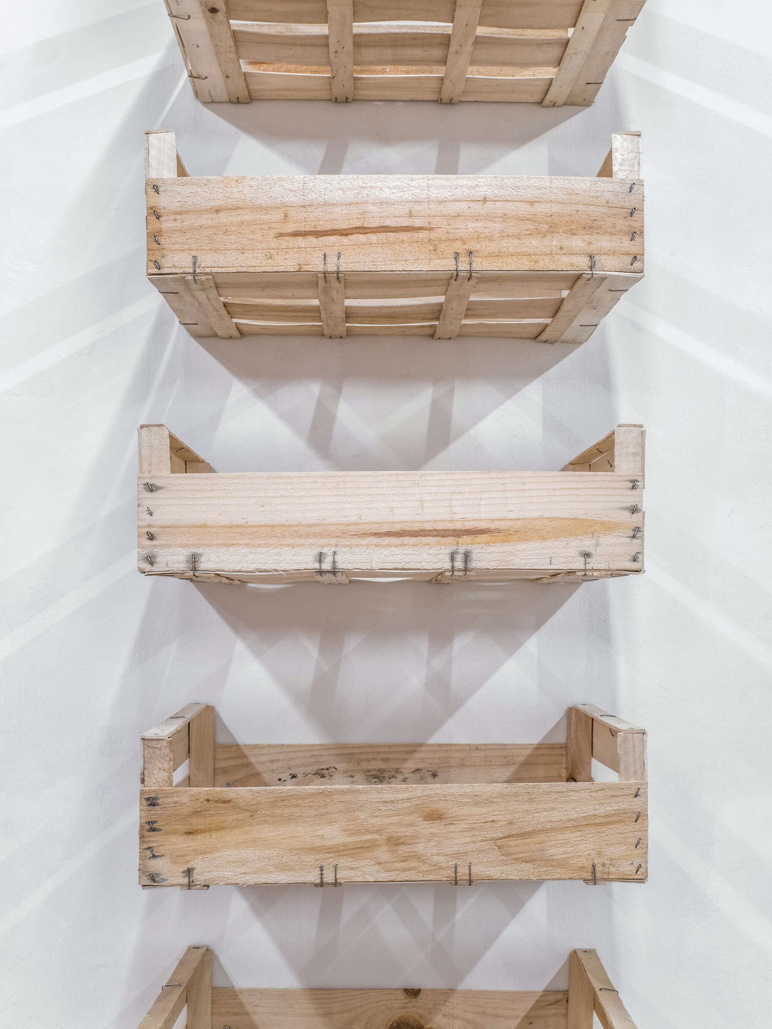 Adam Cruces, Rindermarkt 23