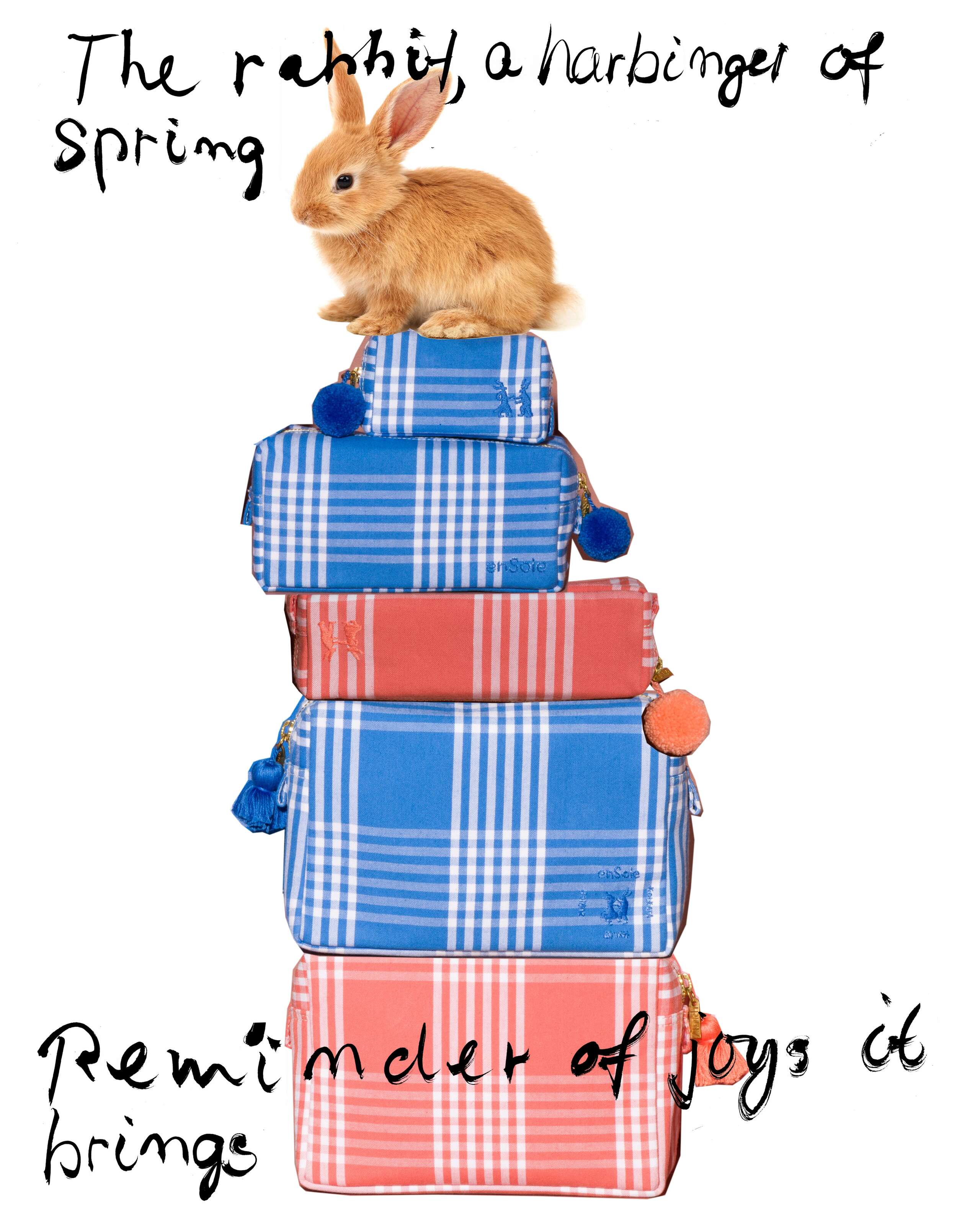 spring colours toiletry cases 2023