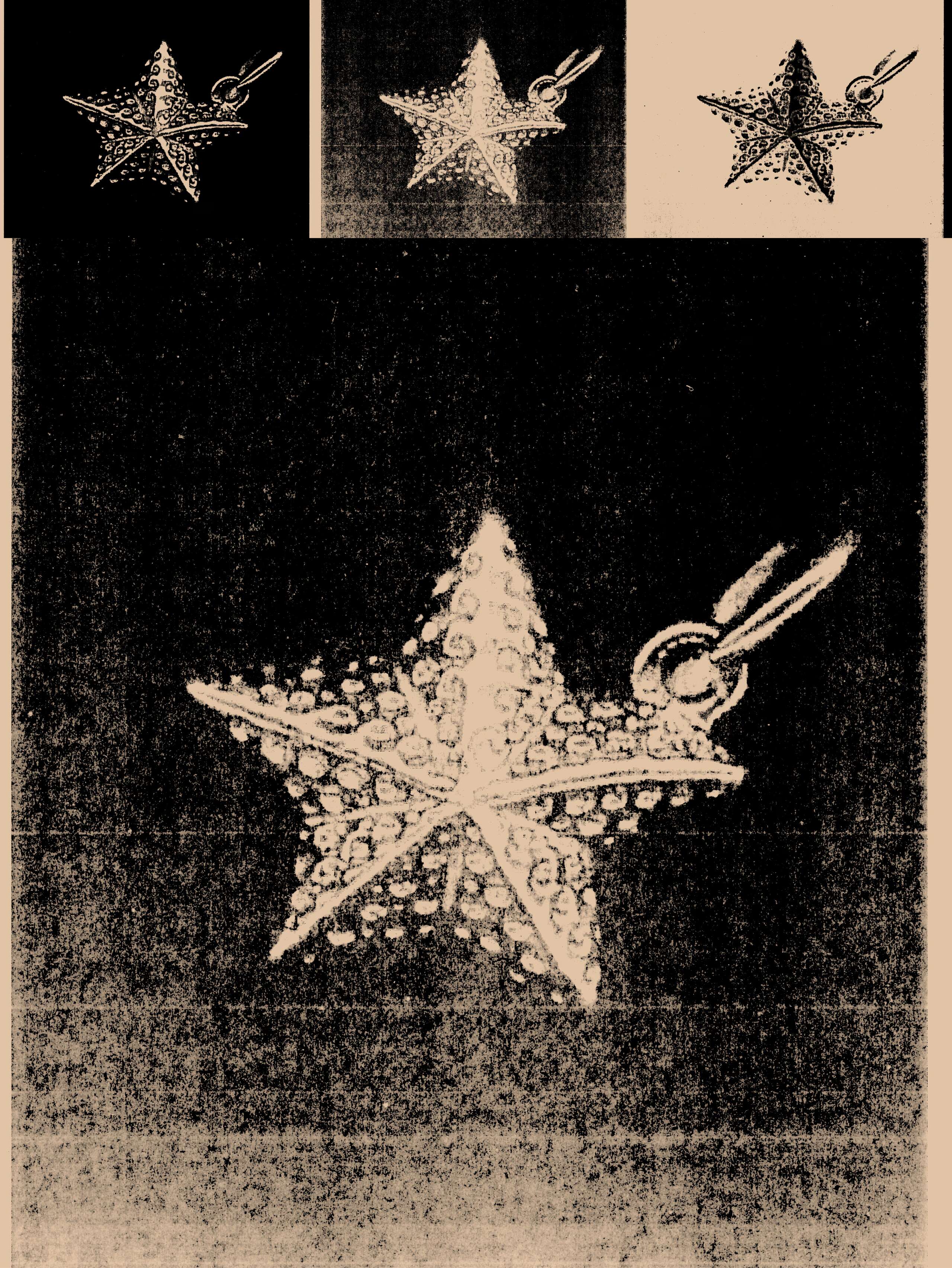 starfish pendant