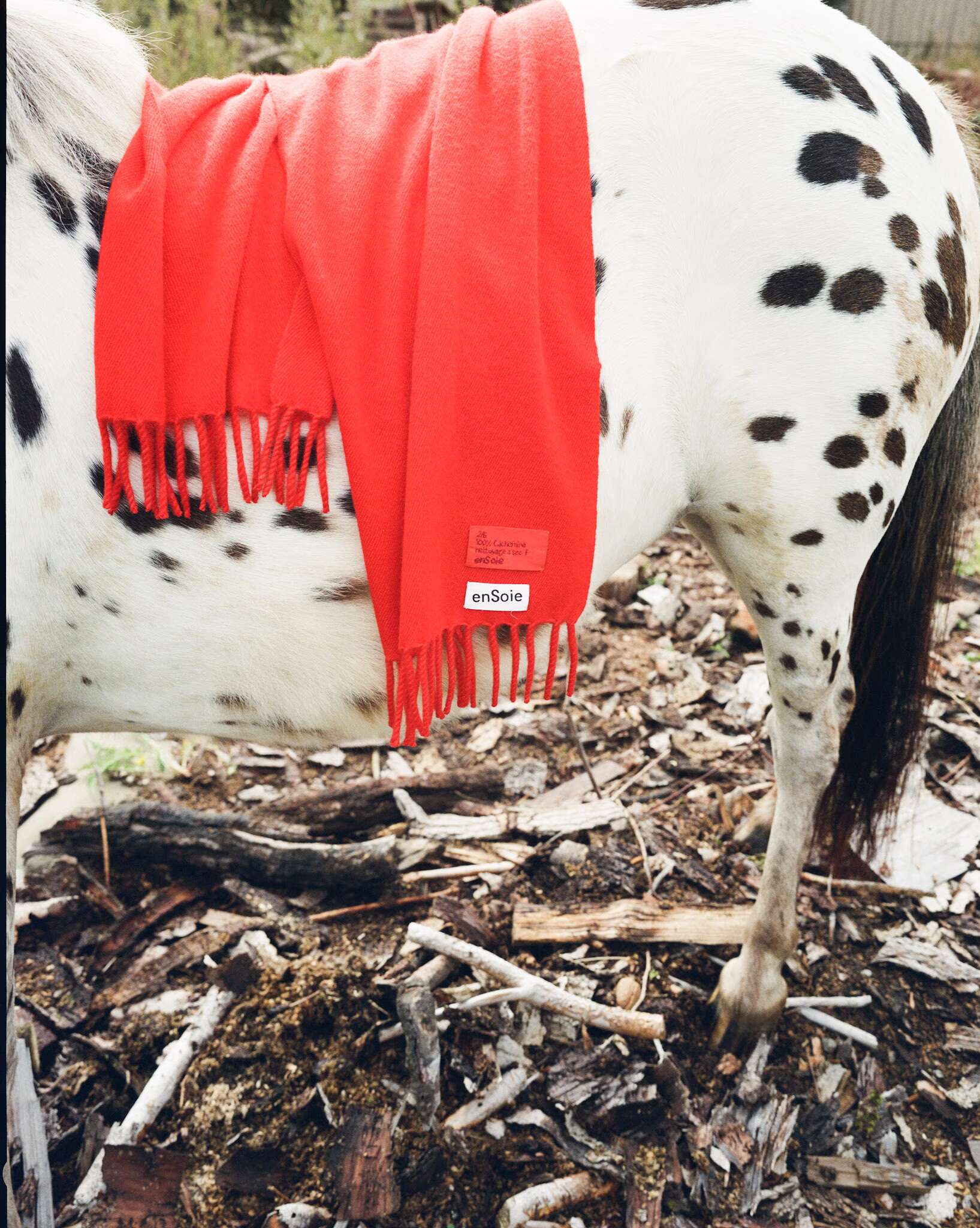 Picture of a red cashmere scarf