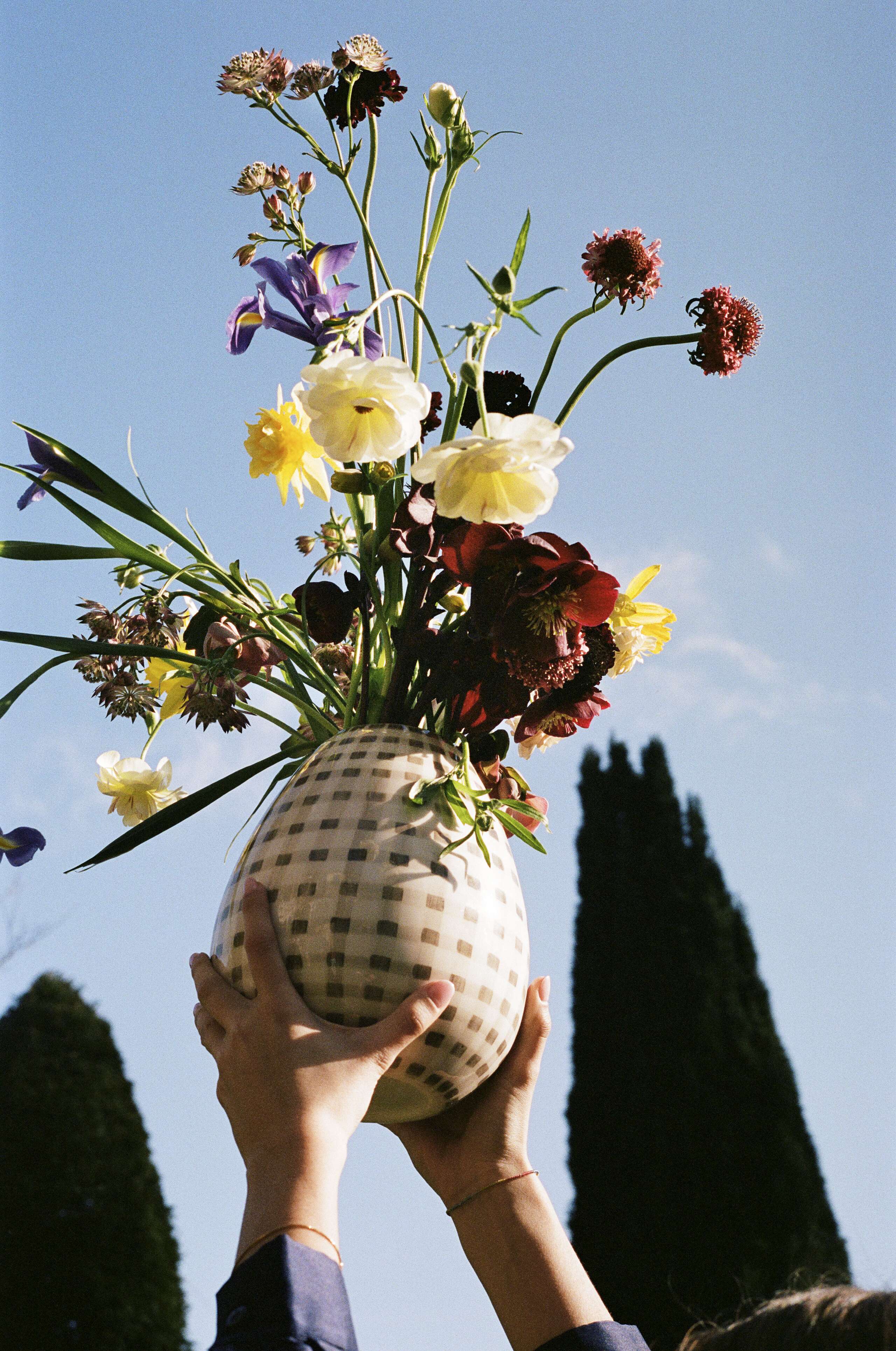 Picture of two hands holding a vase full of flowers in direction sky