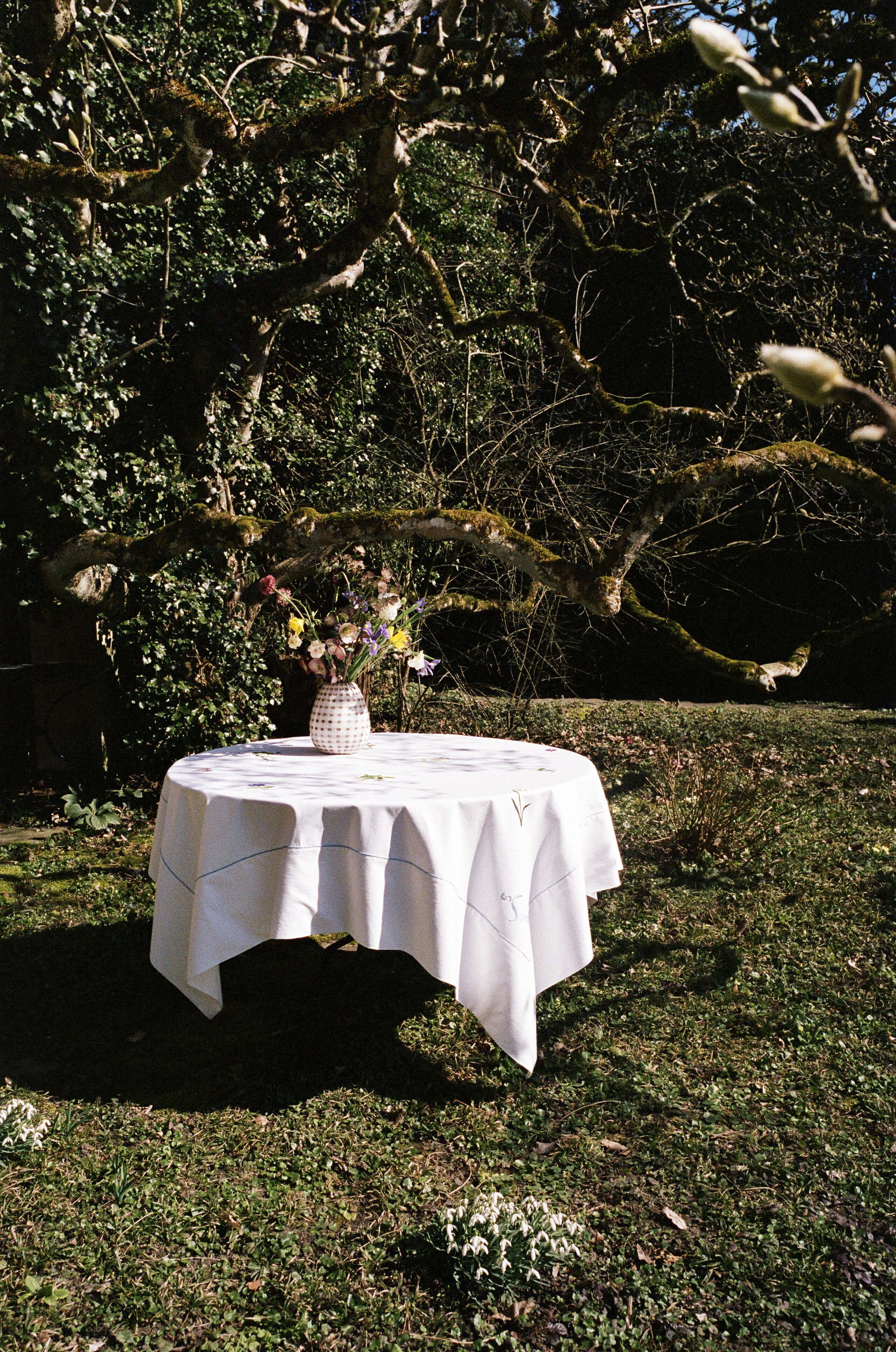 Picture of a table in a garden